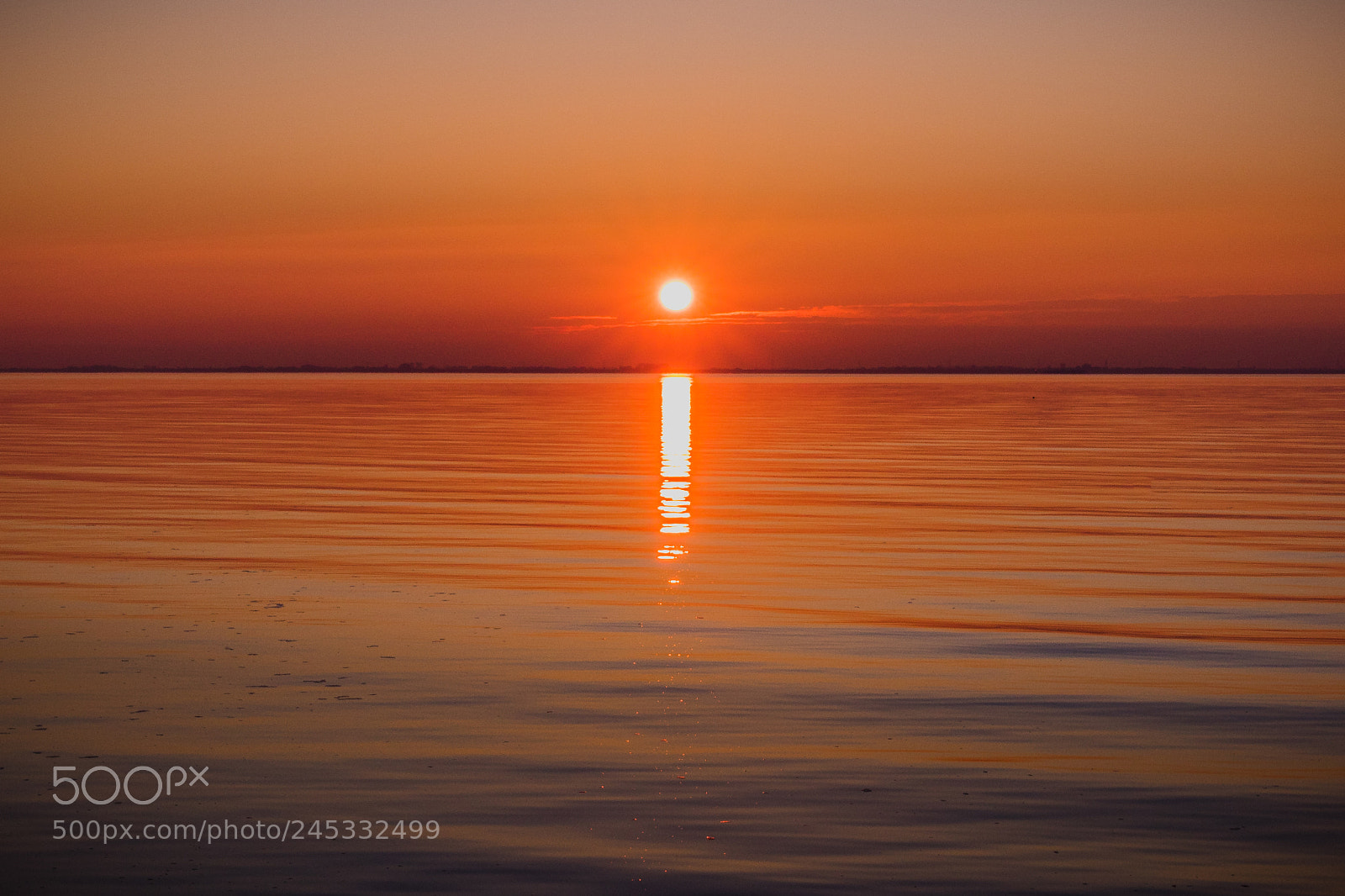 Canon EOS 7D Mark II sample photo. Pure sunset photography