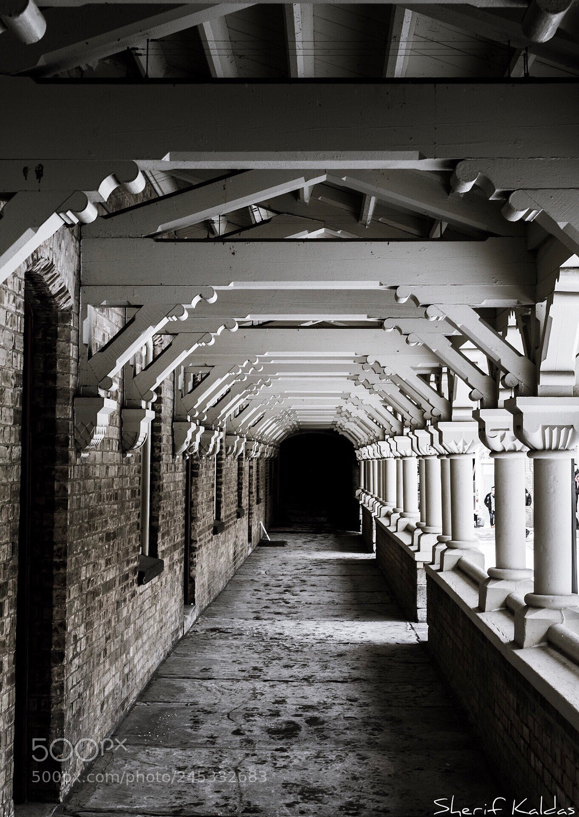 Canon EOS 750D (EOS Rebel T6i / EOS Kiss X8i) sample photo. University of toronto walkway photography