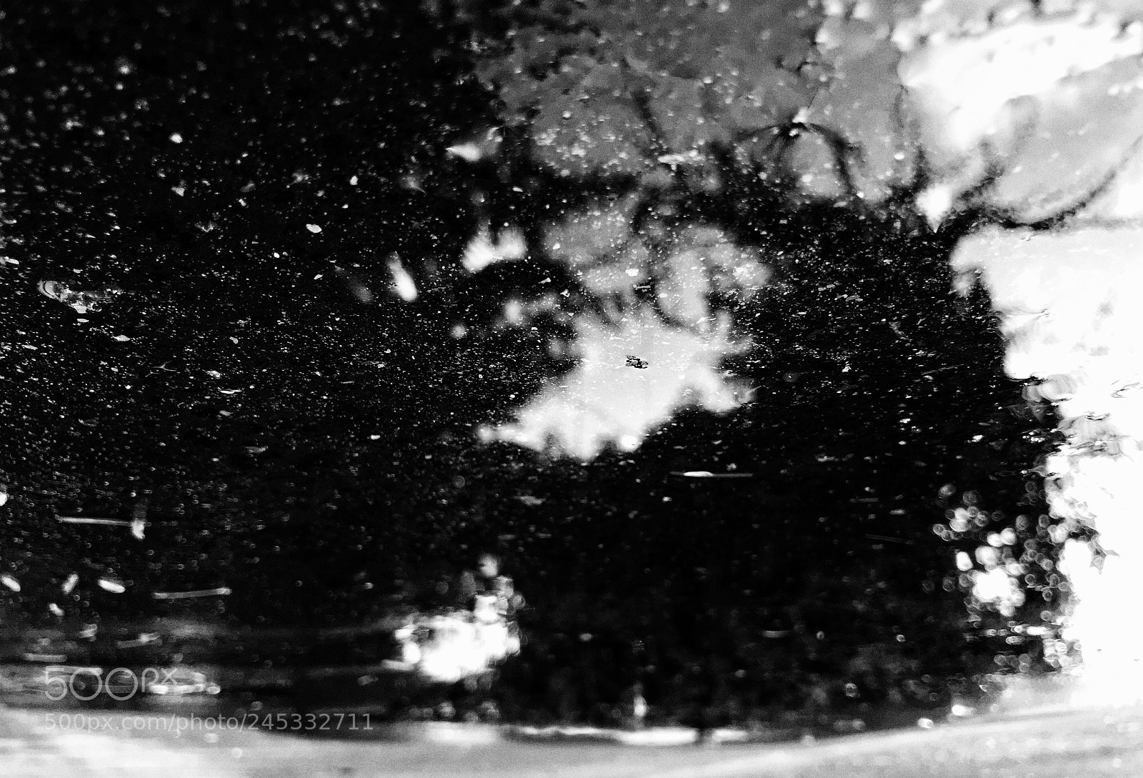 Apple iPhone sample photo. After a rainy day photography