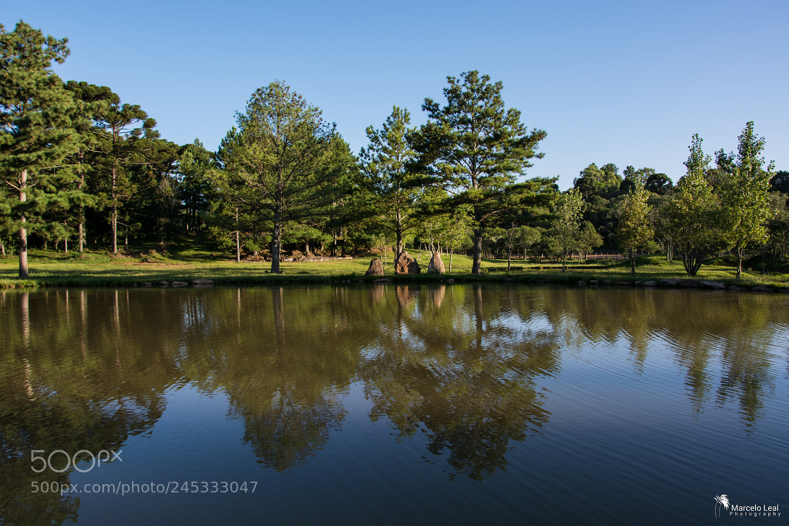 Nikon D7100 sample photo. Fragments of nature - 11 photography