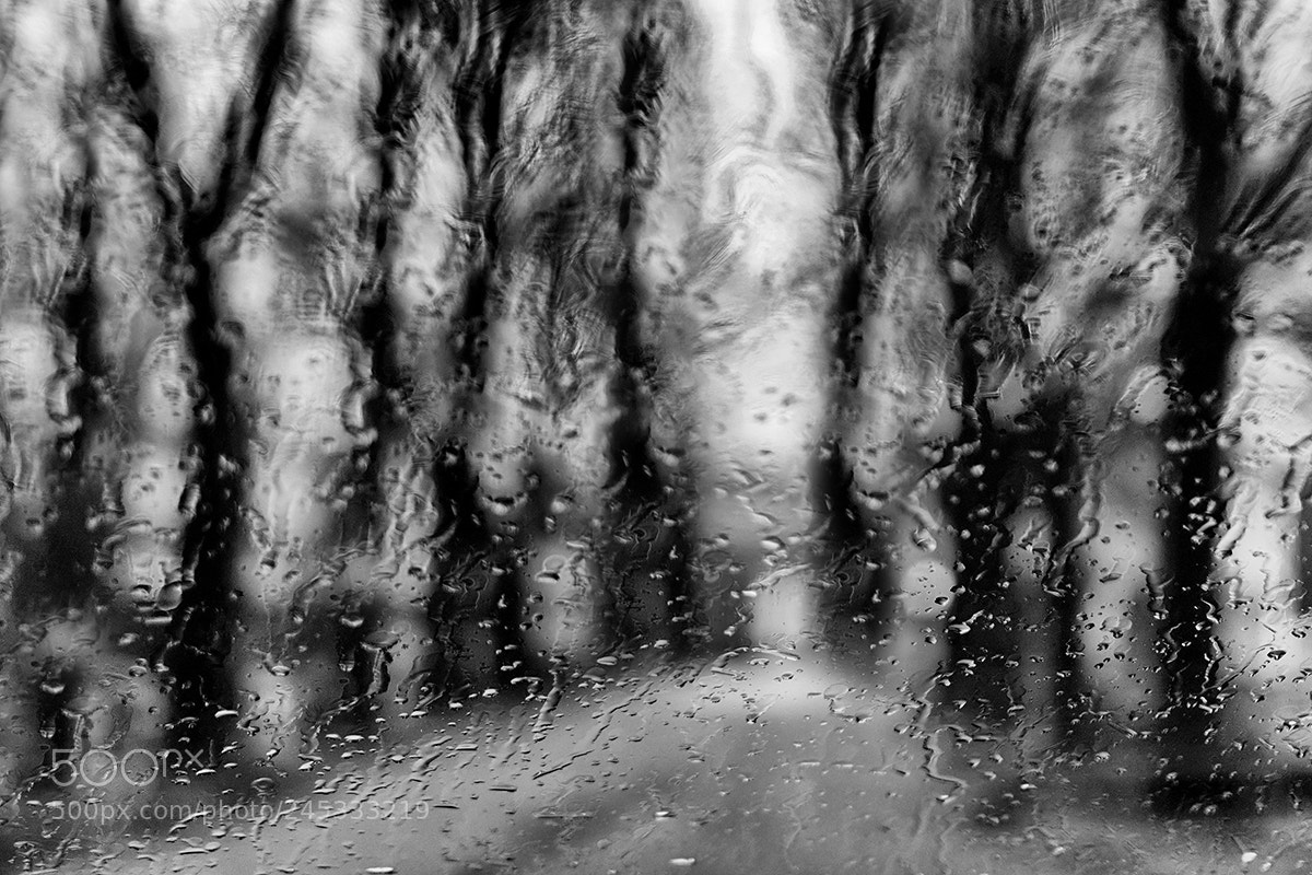 Nikon D7200 sample photo. Spirits in the rain photography