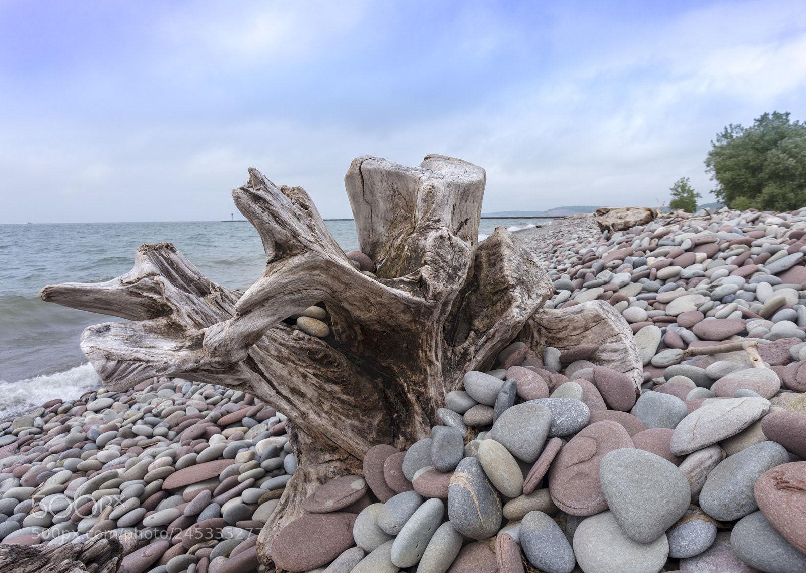 Canon EOS 5DS sample photo. Pebble beach photography