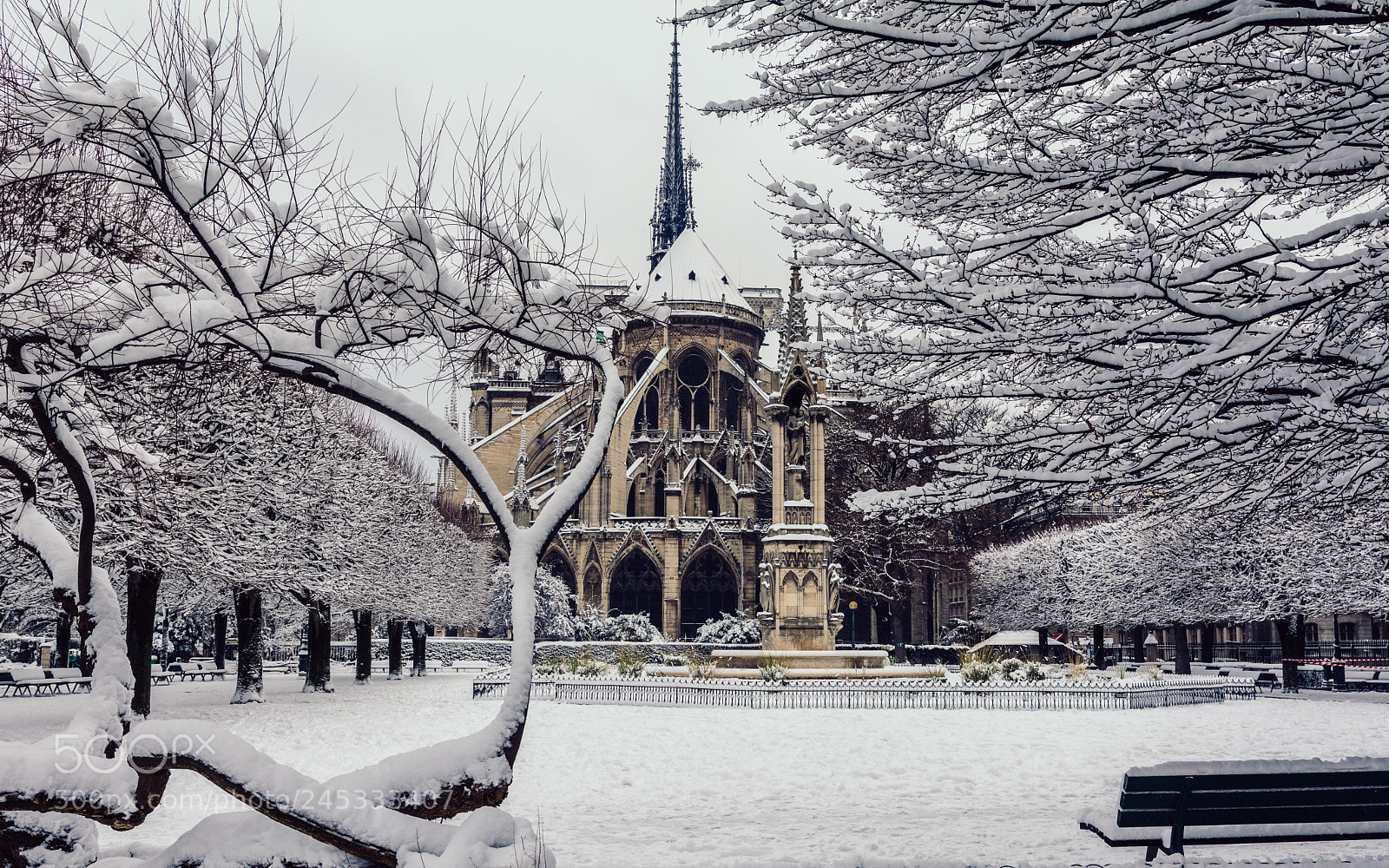 Nikon D7100 sample photo. Cath dral notre dame photography