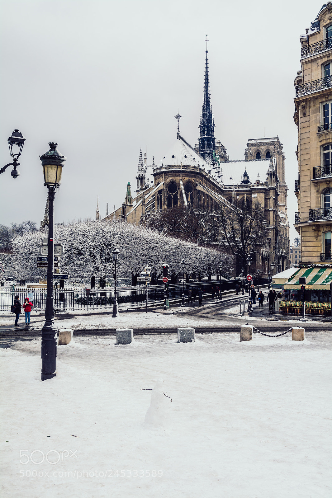Nikon D7100 sample photo. Cath dral notre dame photography