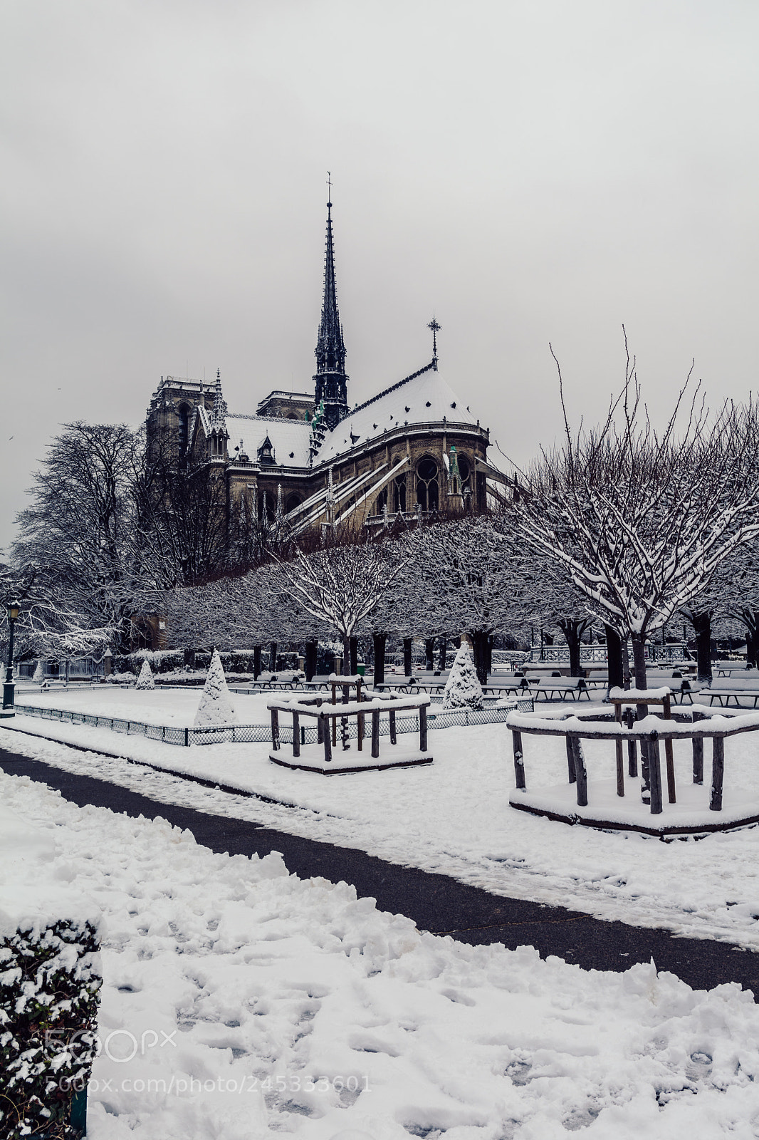 Nikon D7100 sample photo. Cath dral notre dame photography