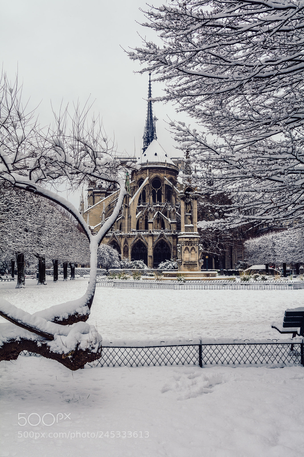 Nikon D7100 sample photo. Cath dral notre dame photography