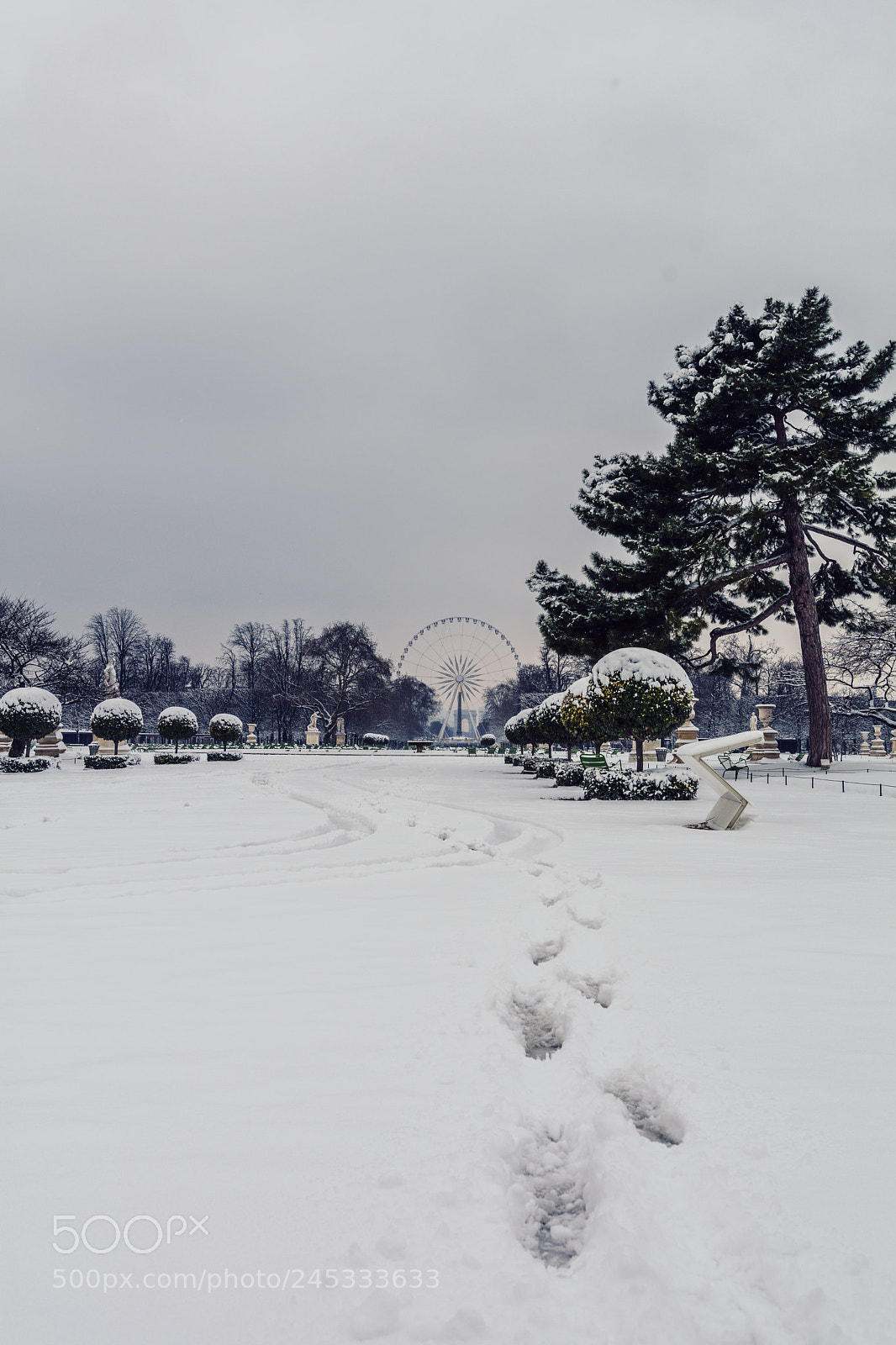 Nikon D7100 sample photo. Jardin des tuileries photography