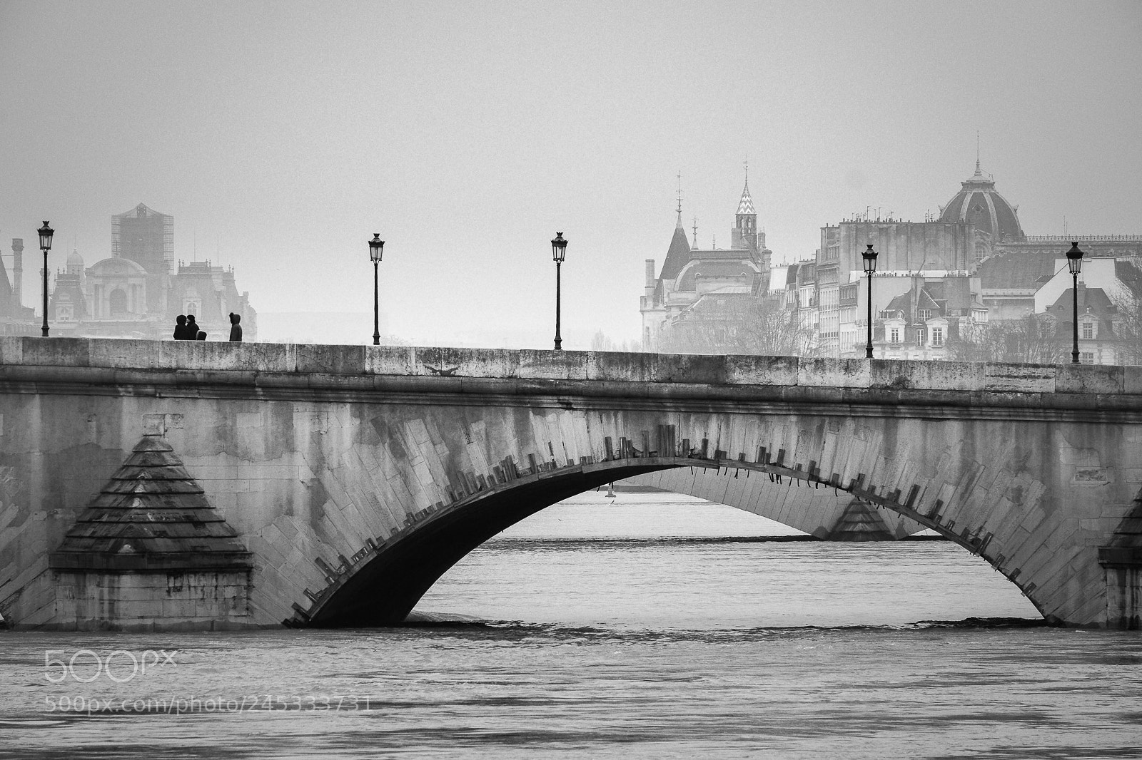 Fujifilm X-T1 sample photo. Paris, crue de la photography