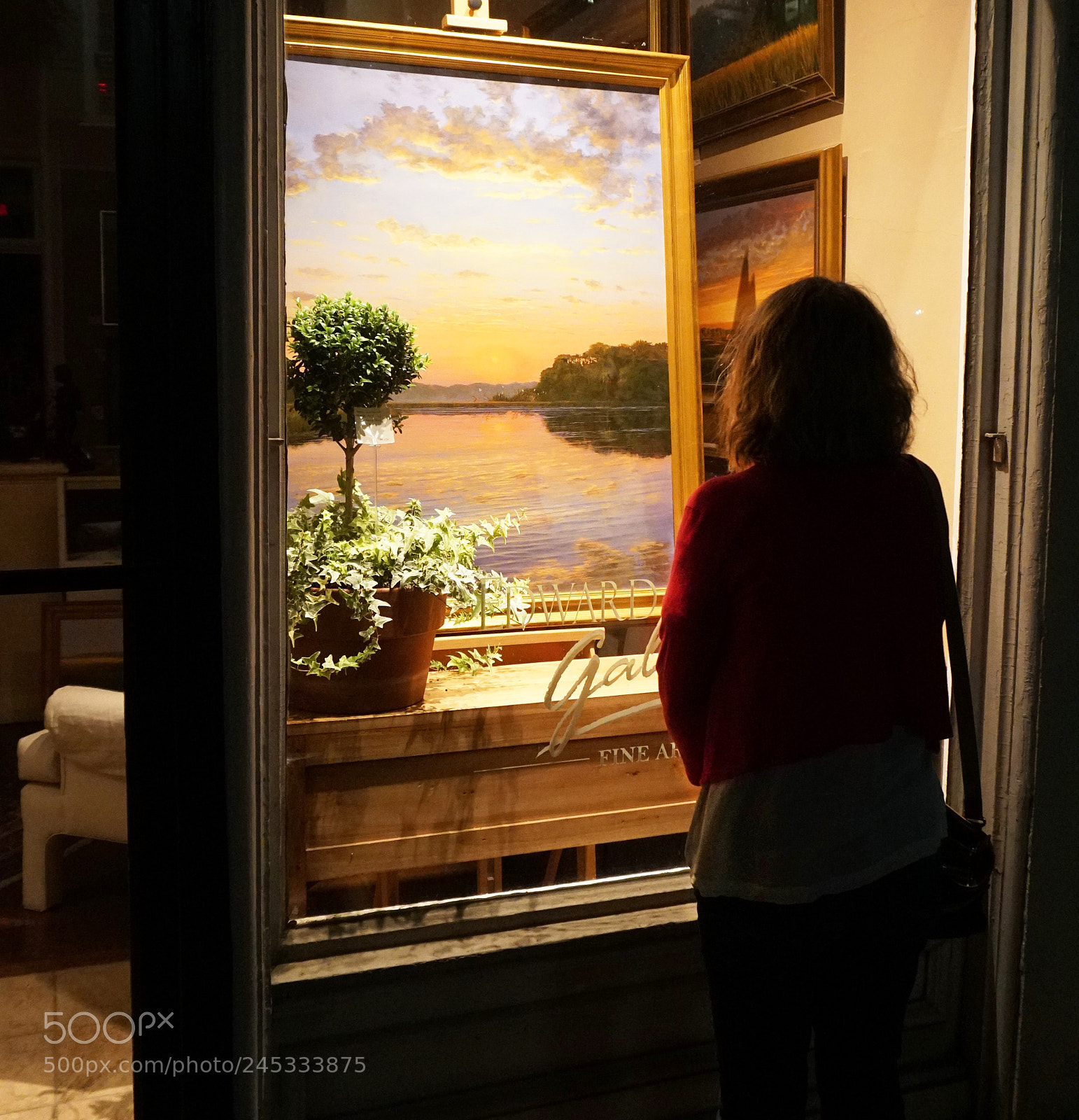 Sony a6500 sample photo. Viewing art thru the photography
