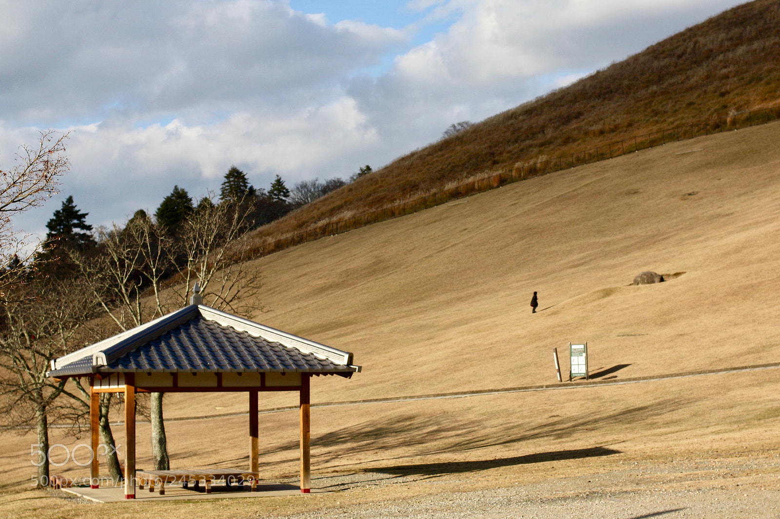 Canon EOS 450D (EOS Rebel XSi / EOS Kiss X2) sample photo. Wakakusayama hills photography