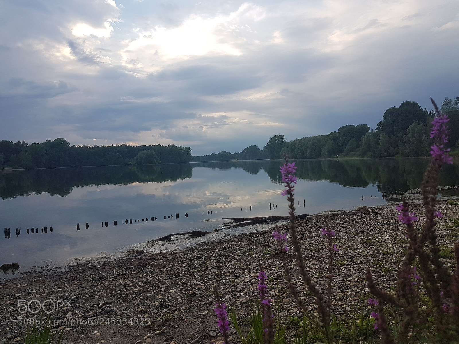 Samsung Galaxy S7 Edge sample photo. Untitled photography