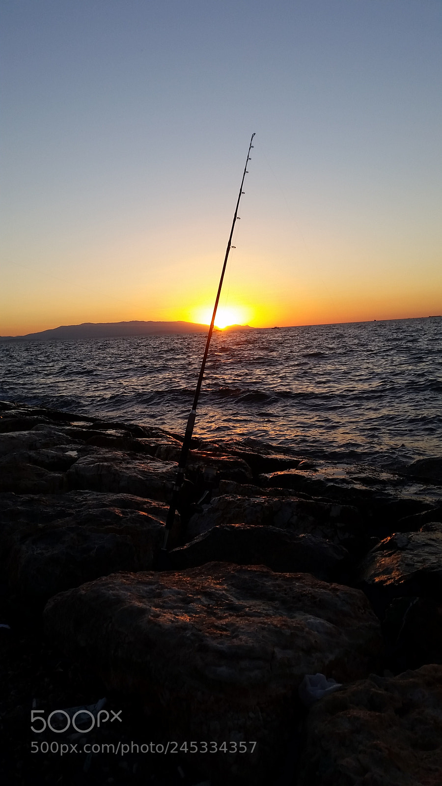 Samsung Galaxy S5 sample photo. Untitled photography