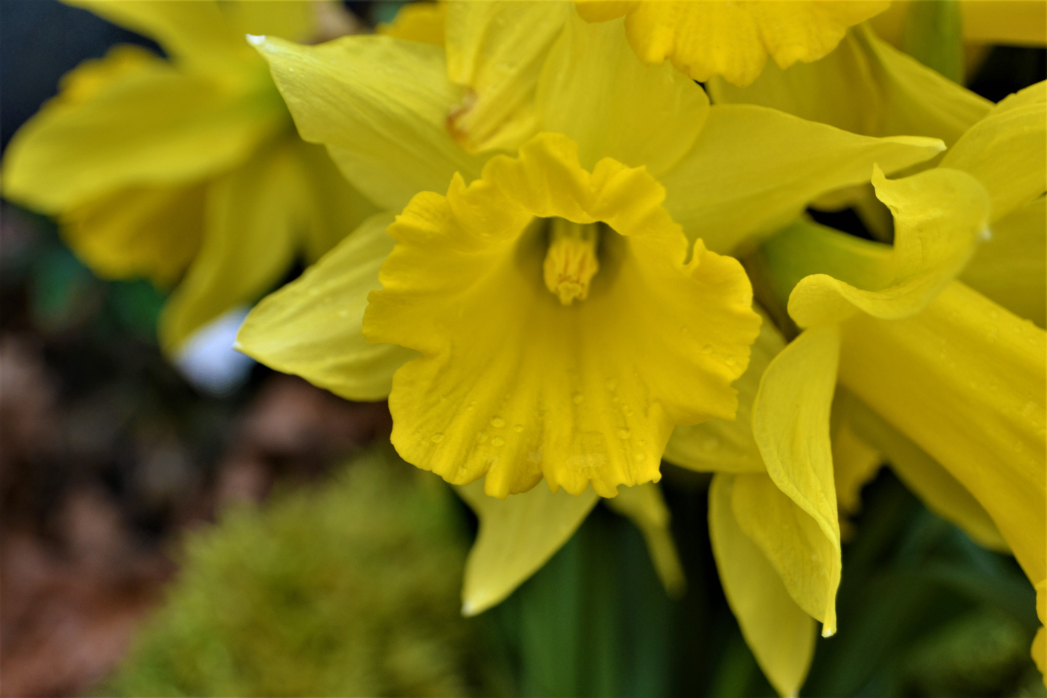 Nikon D3100 sample photo. Look at me !! photography