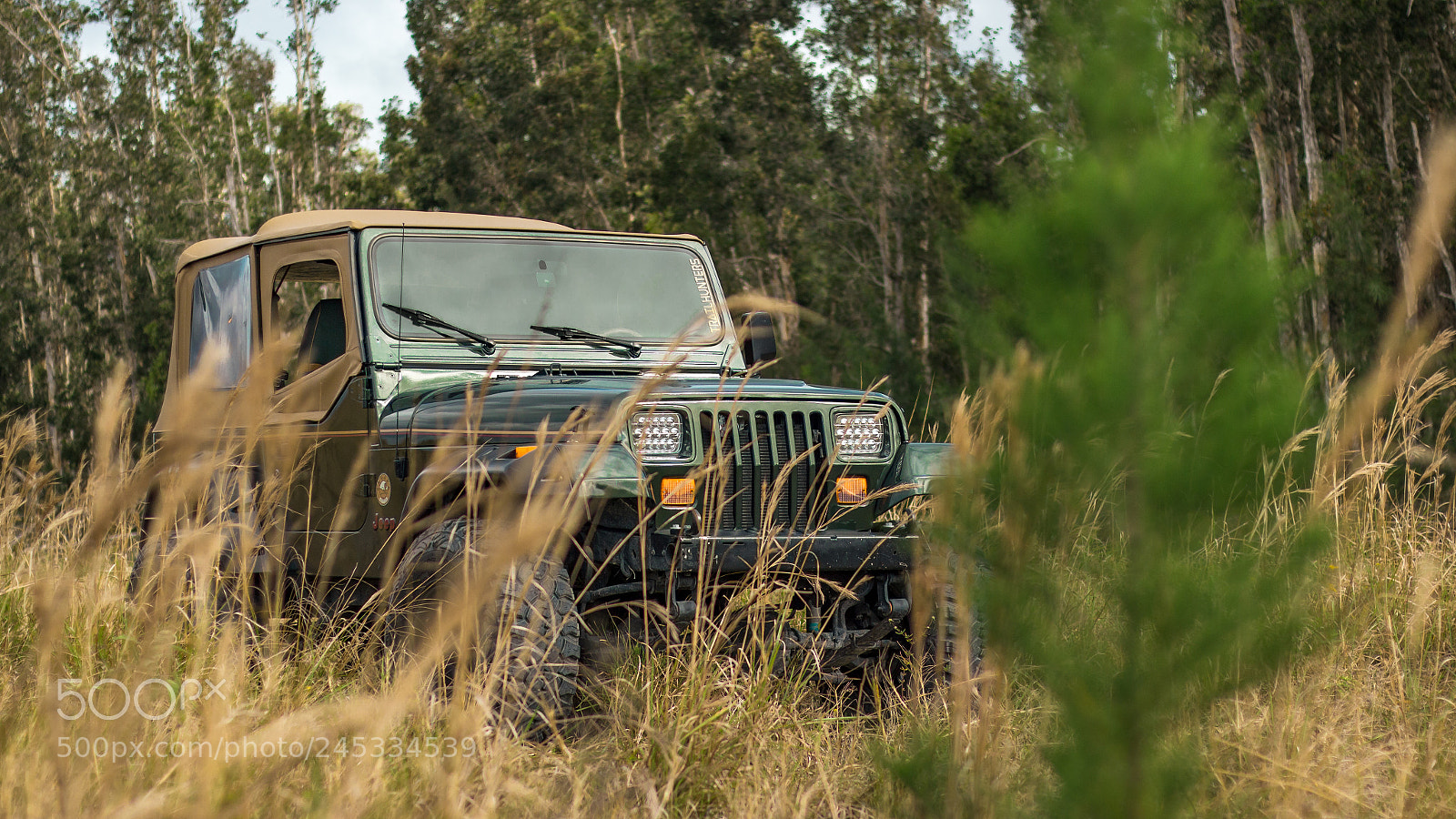 Canon EOS 600D (Rebel EOS T3i / EOS Kiss X5) sample photo. Jeep wrangler ‘95 photography
