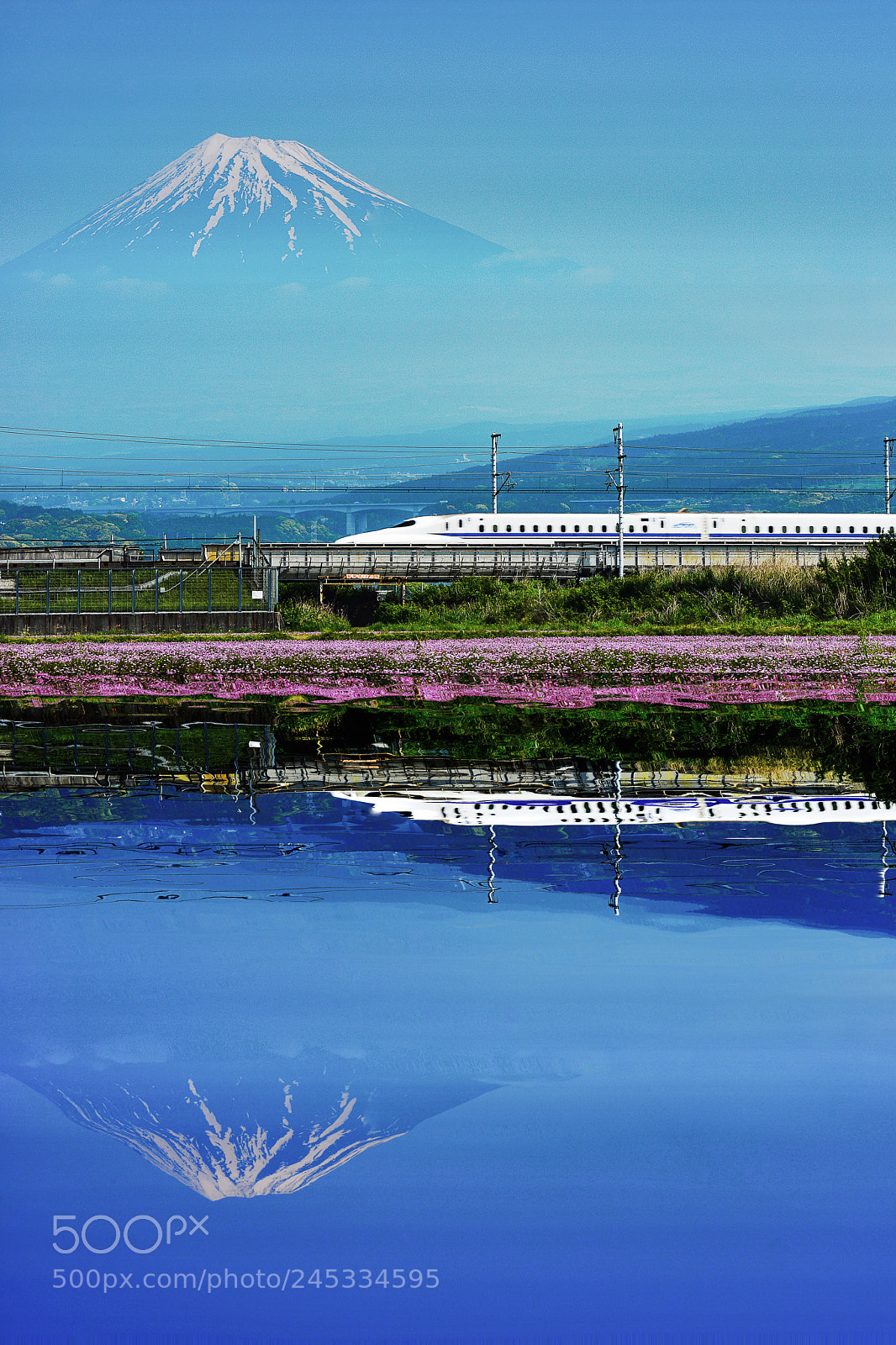 Nikon D610 sample photo. Mt. fuji reflection photography