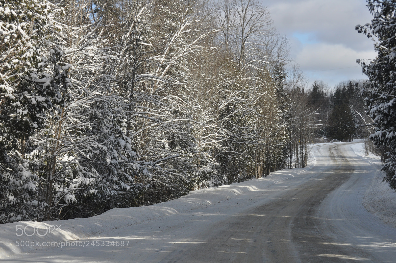 Nikon D5000 sample photo. Long and winding road photography