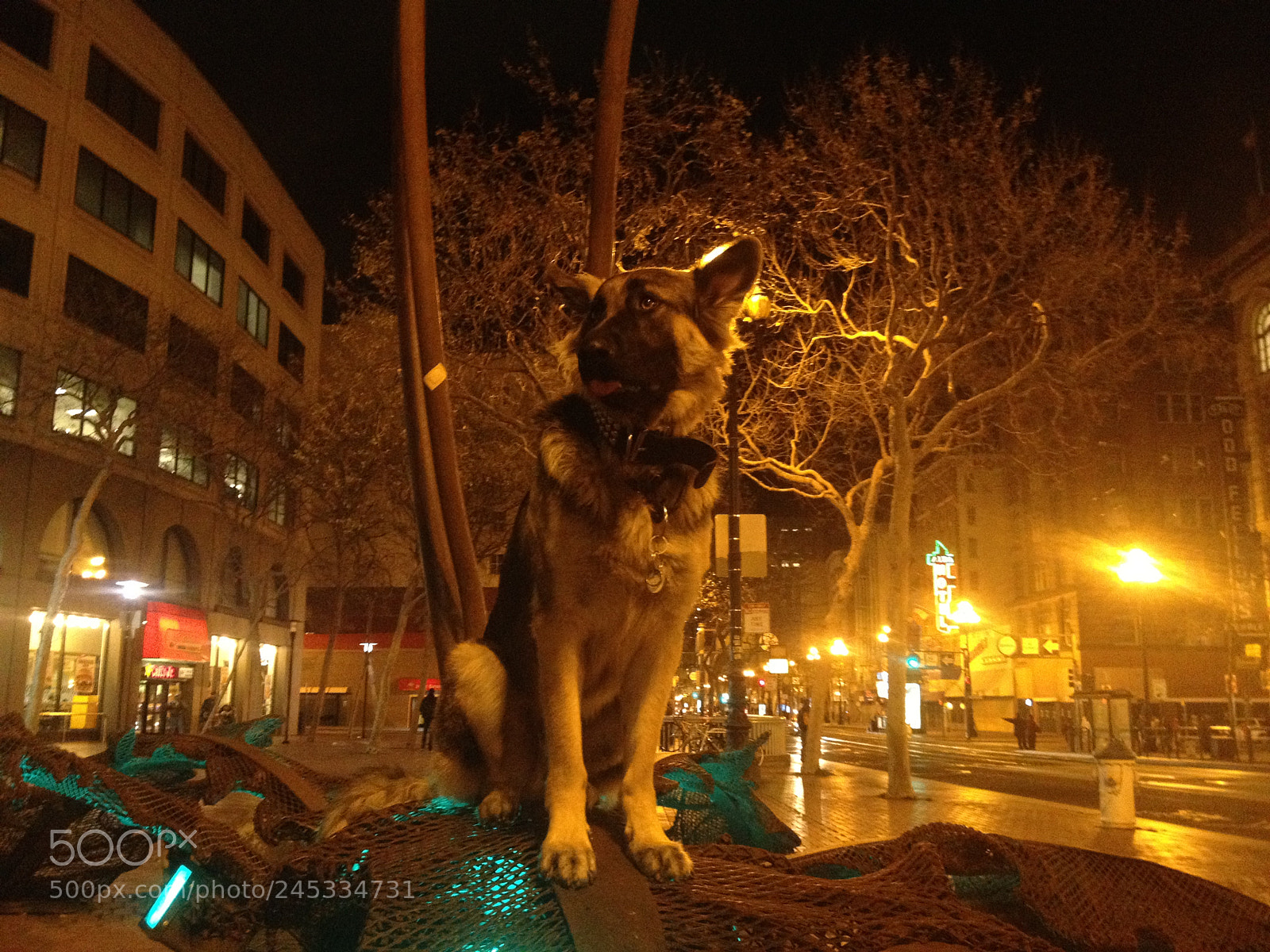 Apple iPhone 4S sample photo. Img photography