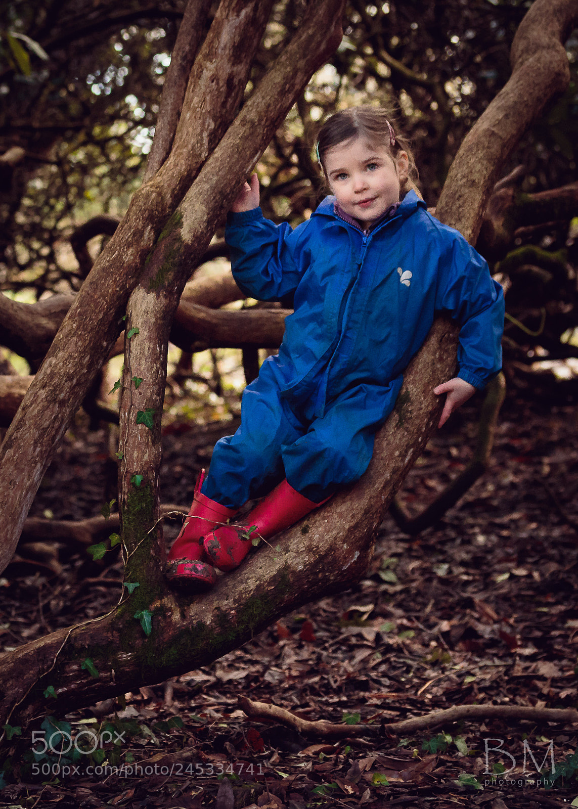 Canon EOS 7D Mark II sample photo. In the rhodedendrons photography