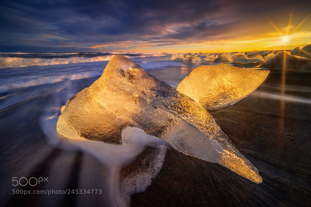 Sony a7R sample photo. Ice whale photography