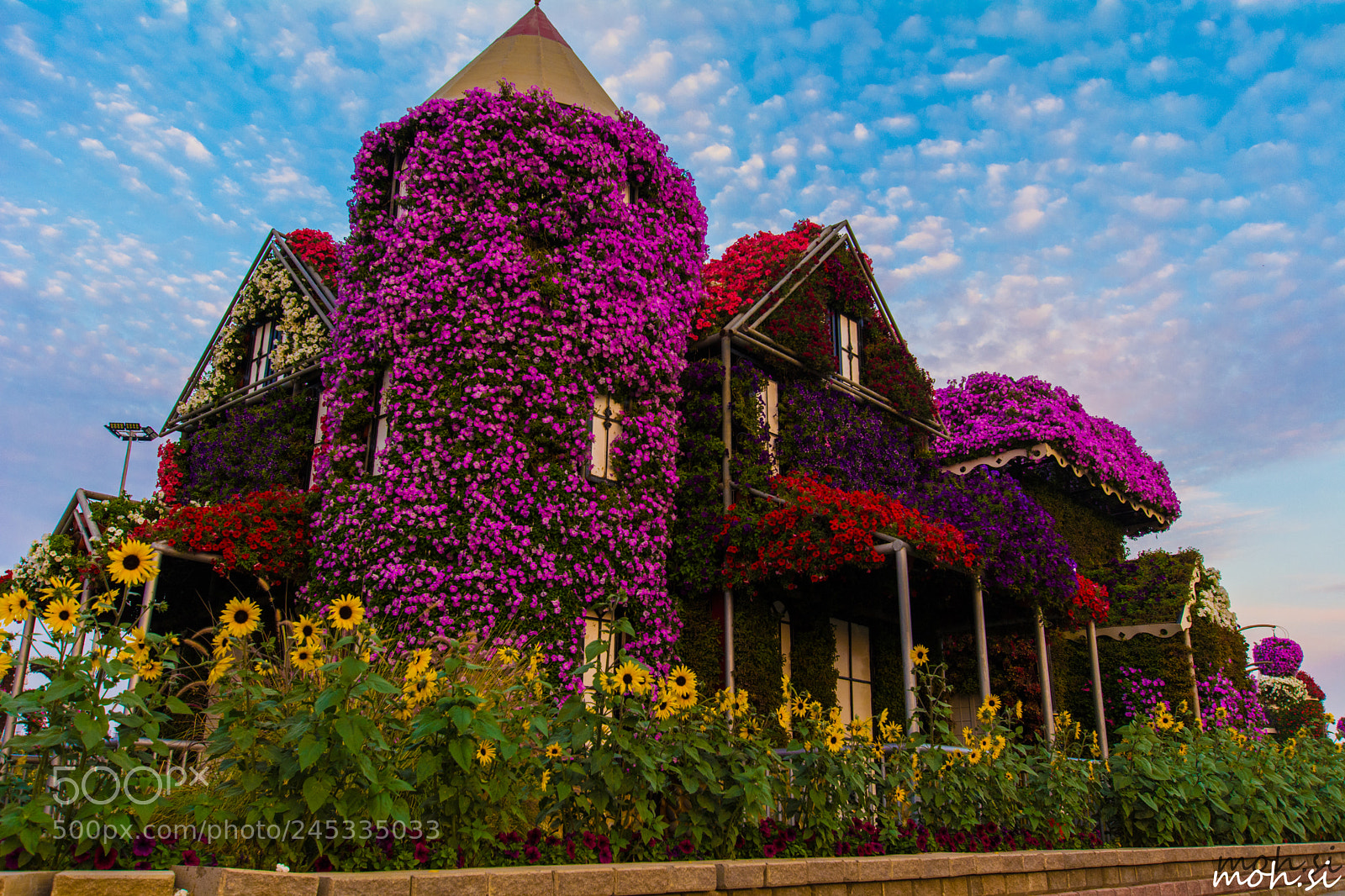 Nikon D5200 sample photo. House of flowers photography