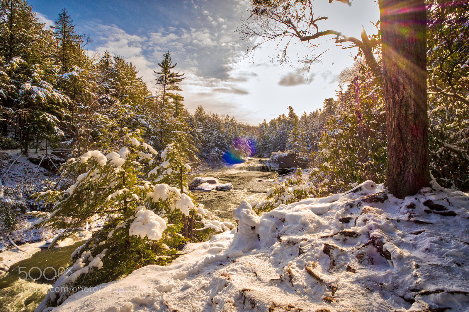 Olympus PEN-F sample photo. Winter at swallow falls photography