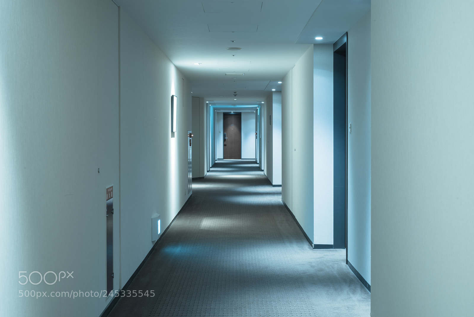 Nikon D810 sample photo. Interior photography