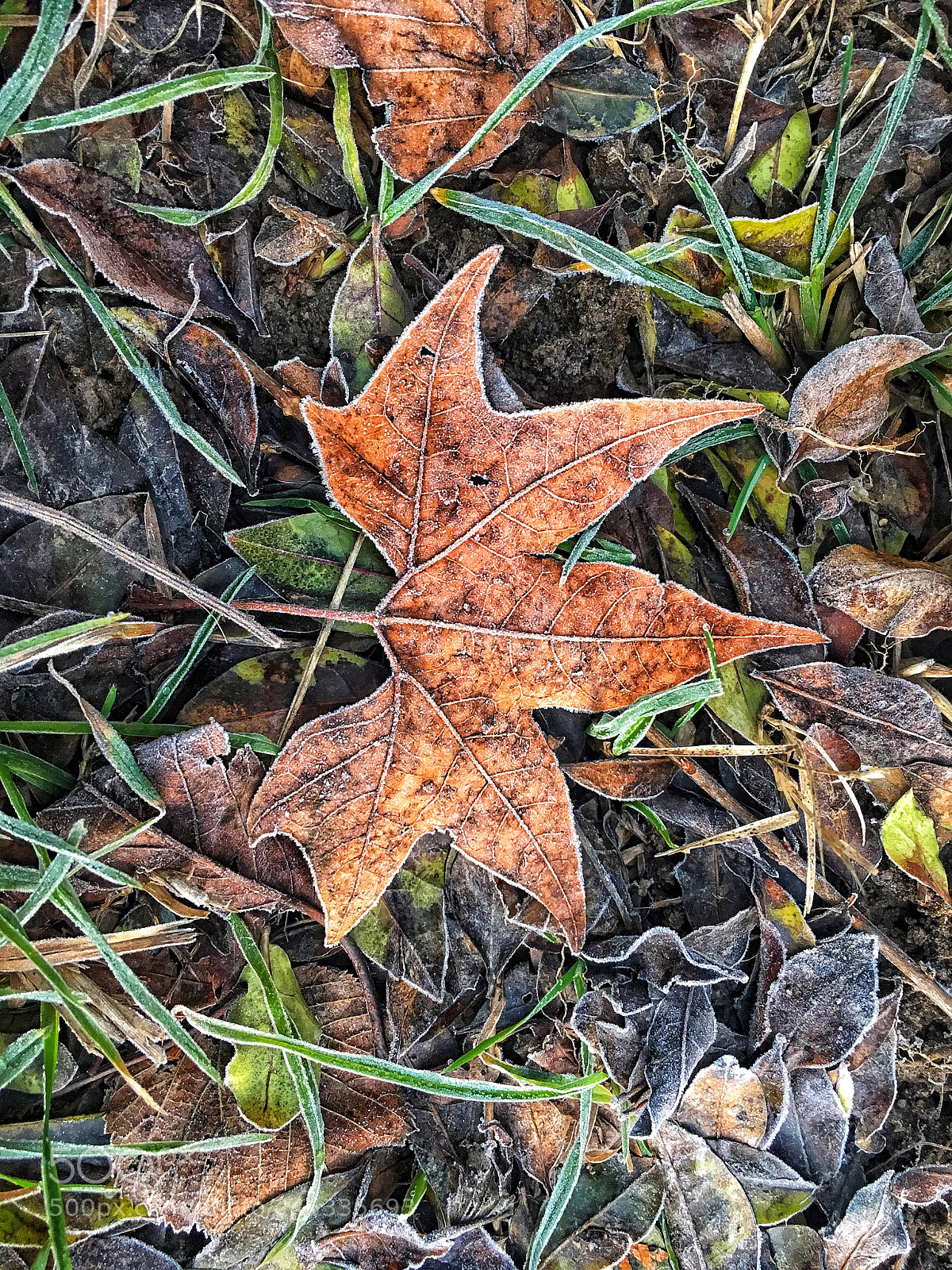 Apple iPhone 6s Plus sample photo. Last winter sign photography