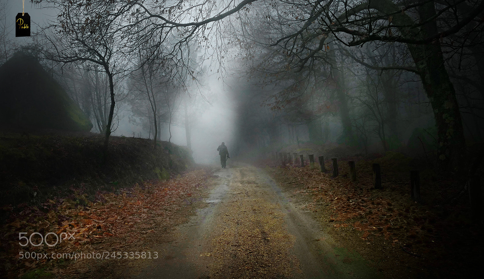 Panasonic Lumix DMC-FZ1000 sample photo. Into the misty mountain photography