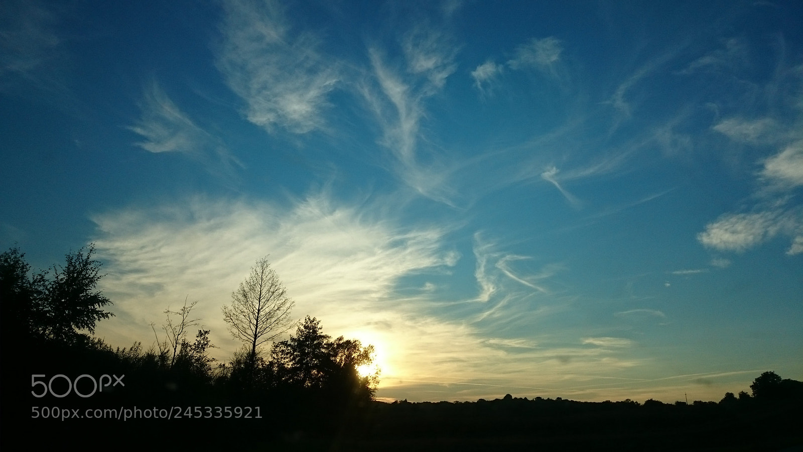 Sony Xperia Z2 sample photo. Untitled photography