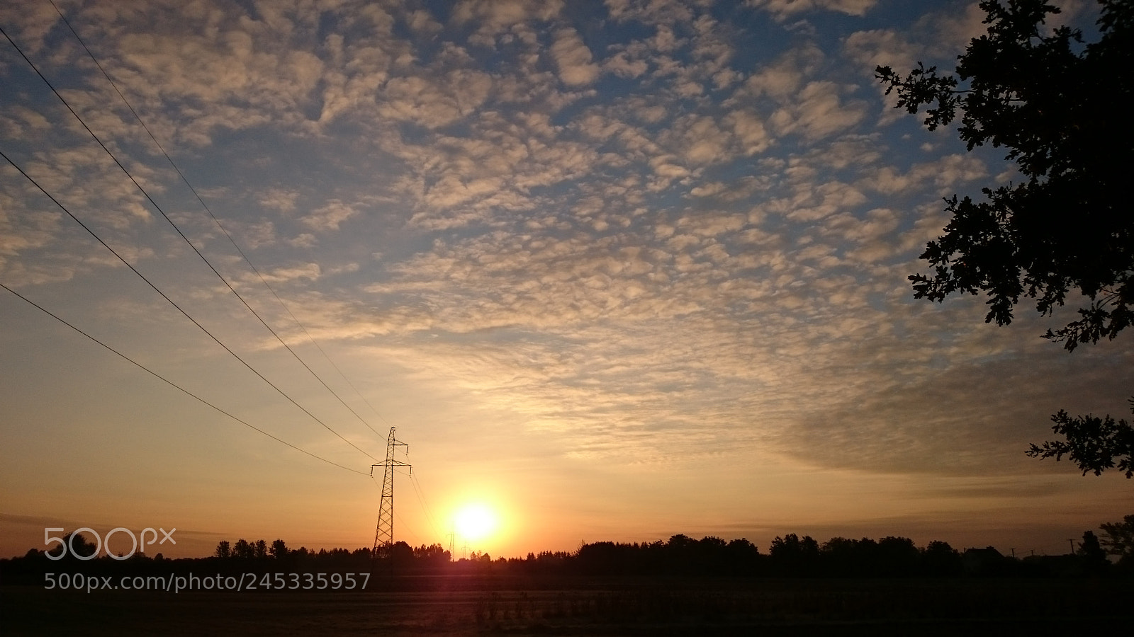 Sony Xperia Z2 sample photo. Untitled photography