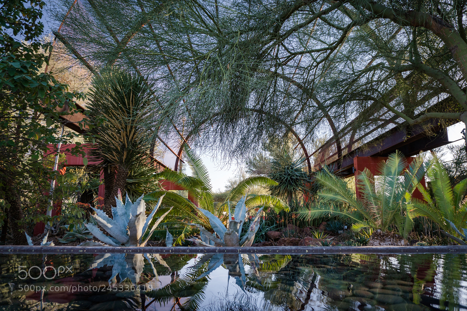 Sony a6300 sample photo. Desert oasis photography