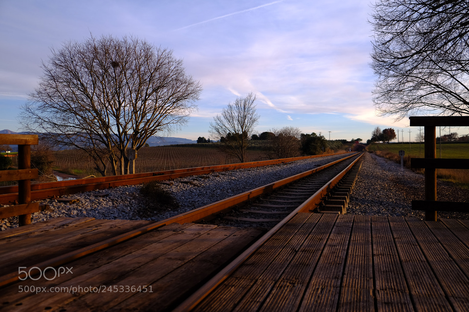 Fujifilm X-T1 sample photo. Vias tren photography