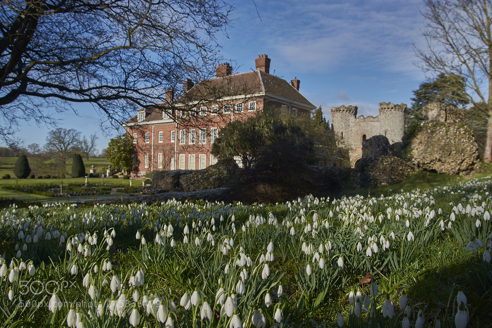 Nikon D7200 sample photo. Snowdrops at benington lordship photography