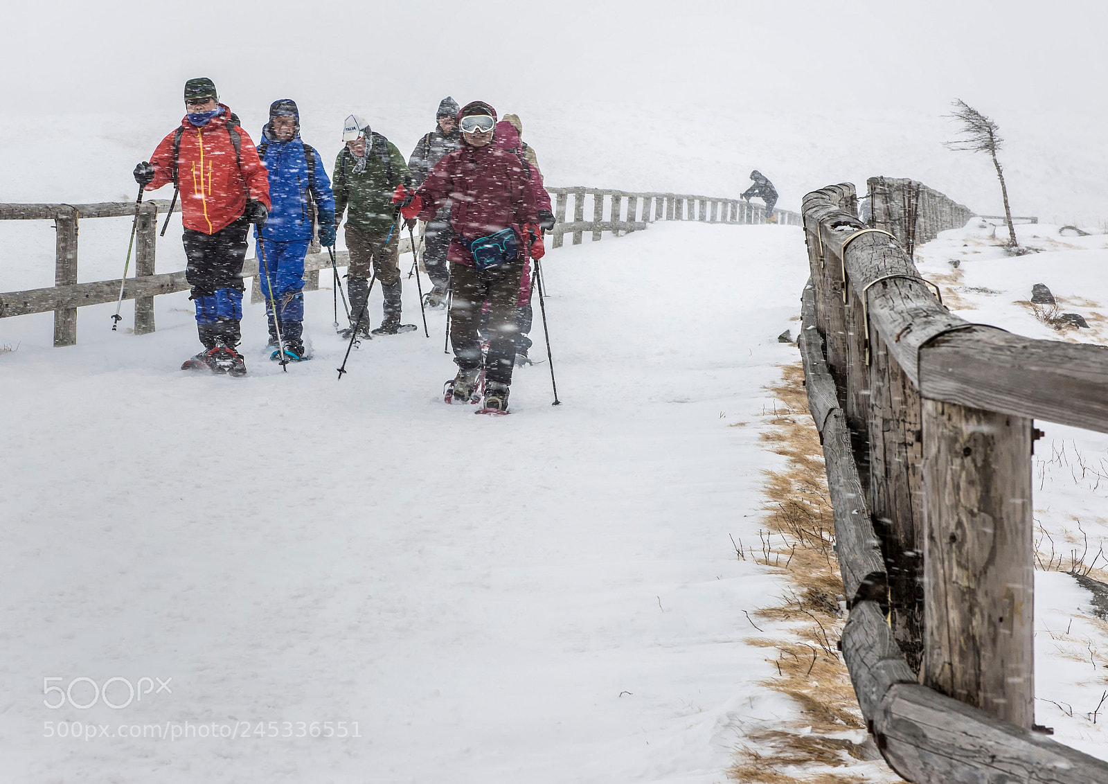 Nikon D600 sample photo. Trek in blizzard photography