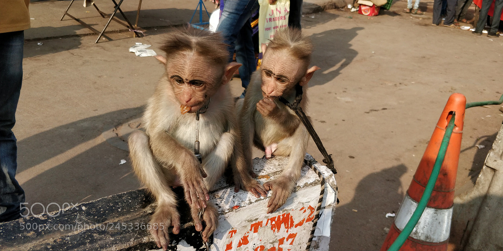 OnePlus 5T sample photo. Untitled photography