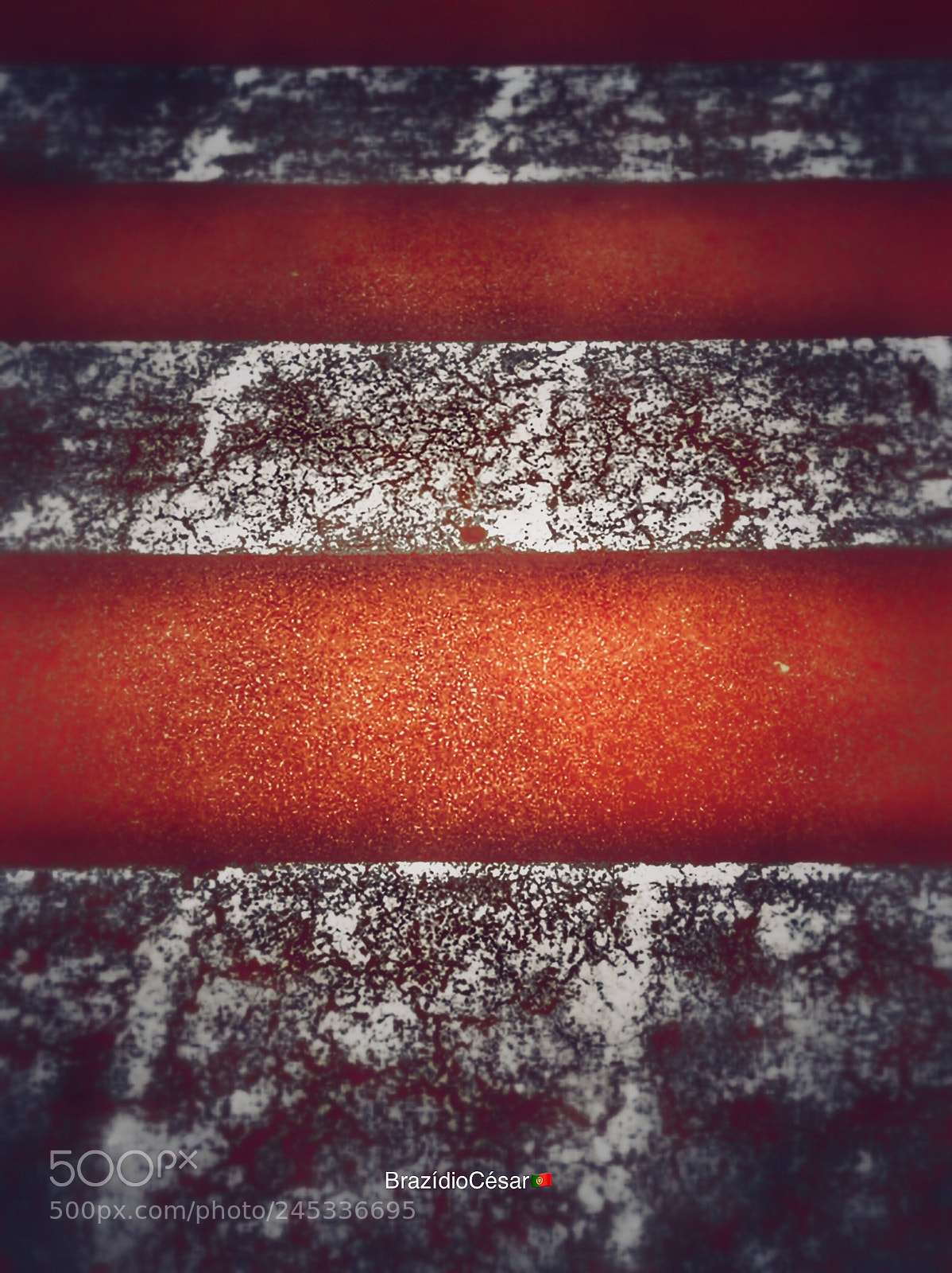 Apple iPhone 6s sample photo. Untitled photography