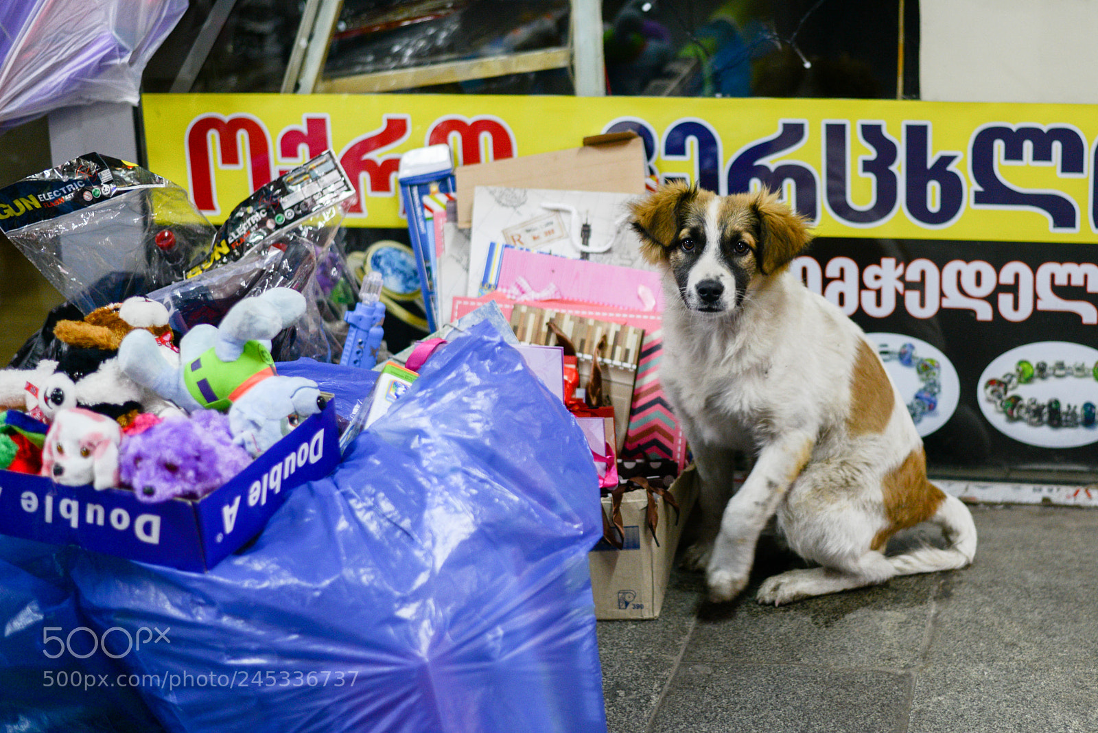 Nikon D800 sample photo. Abandon photography