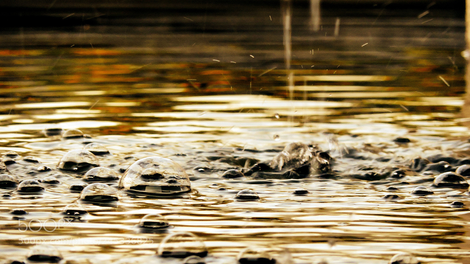 Nikon Coolpix P530 sample photo. Gold bubbles photography