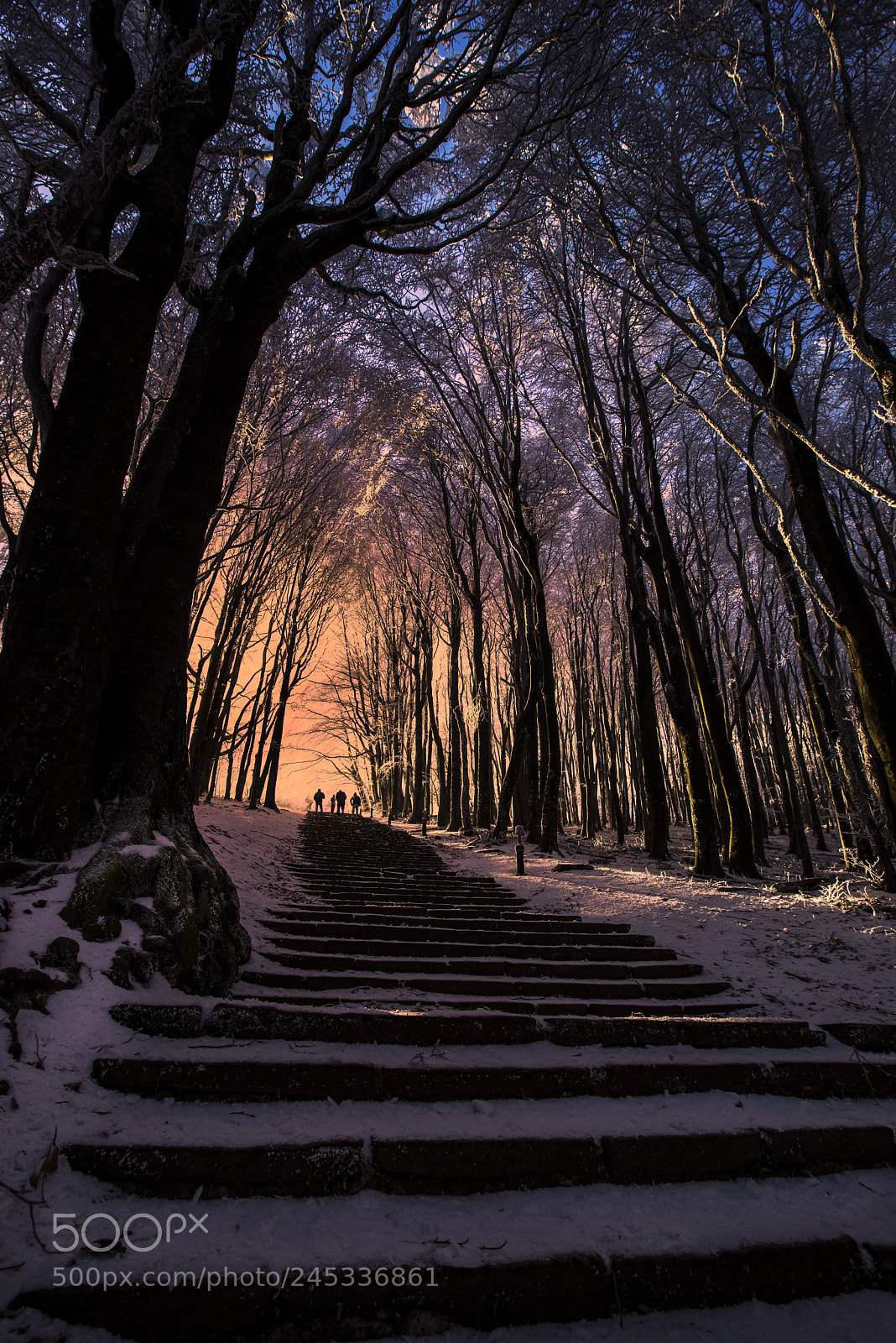 Sony a7R sample photo. Mystic photography