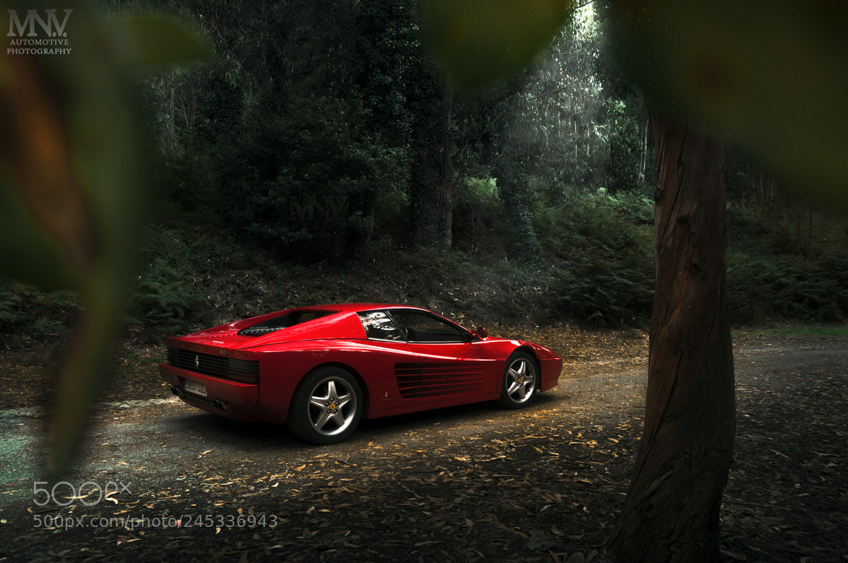 Nikon D90 sample photo. 512 tr photography