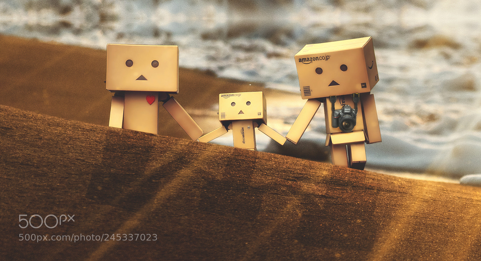 Nikon D5500 sample photo. La famille danbo photography