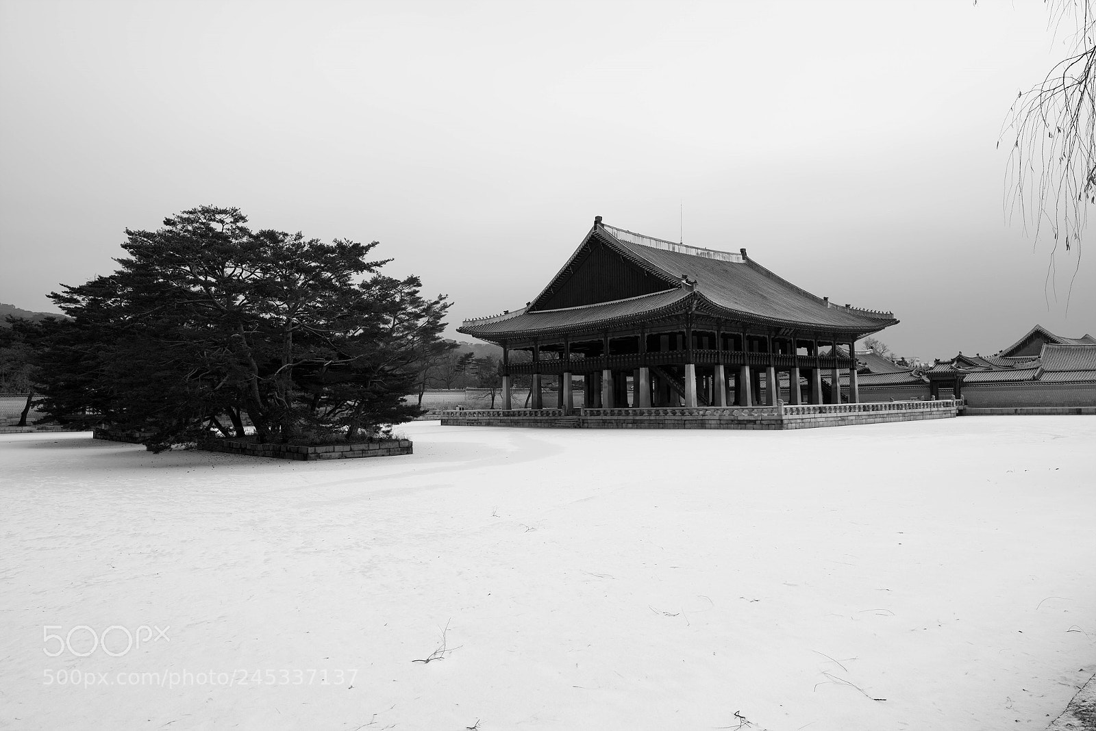 Nikon D800 sample photo. The black building on photography