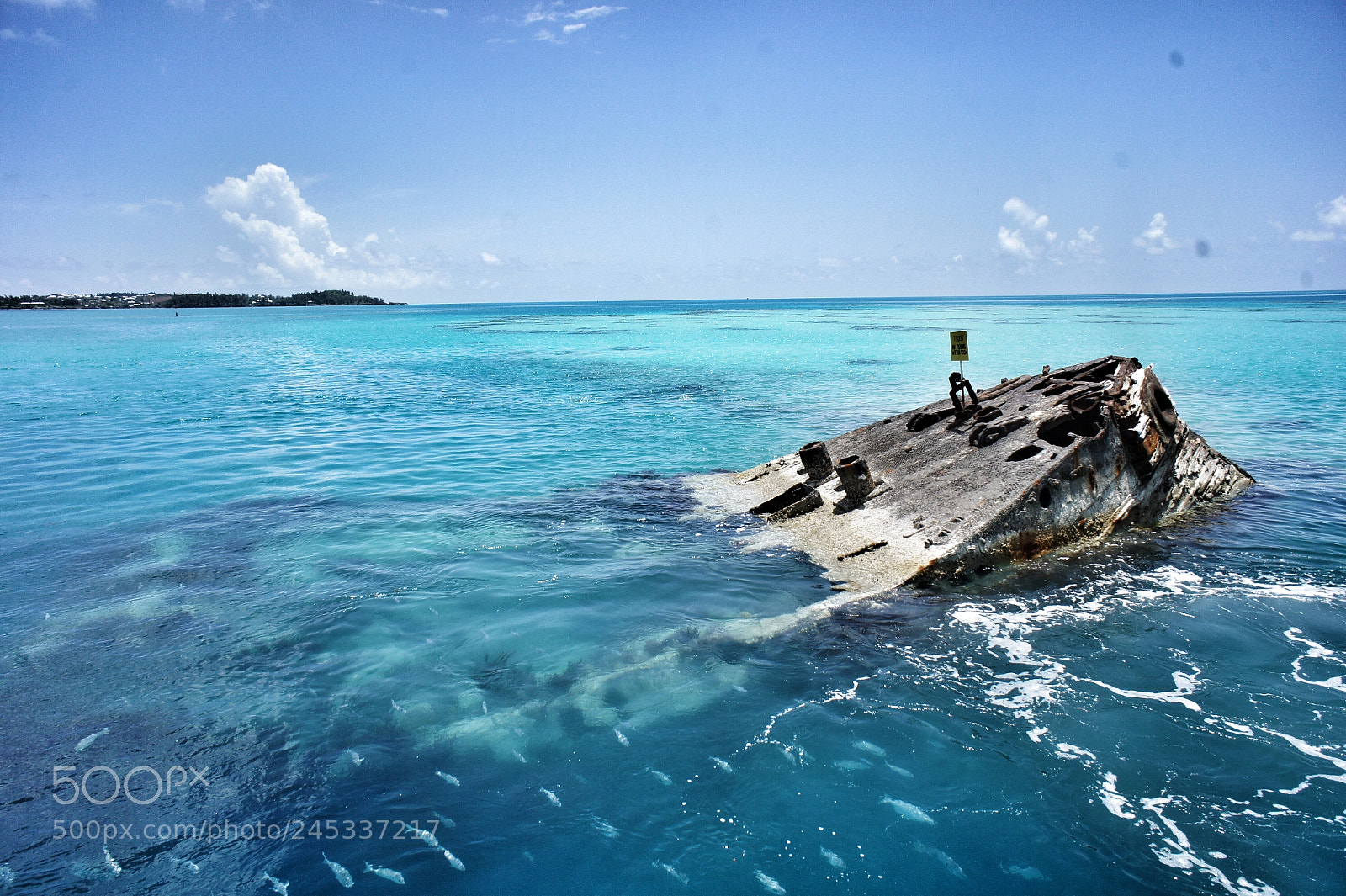 Sony Alpha NEX-3 sample photo. Sunken ship photography