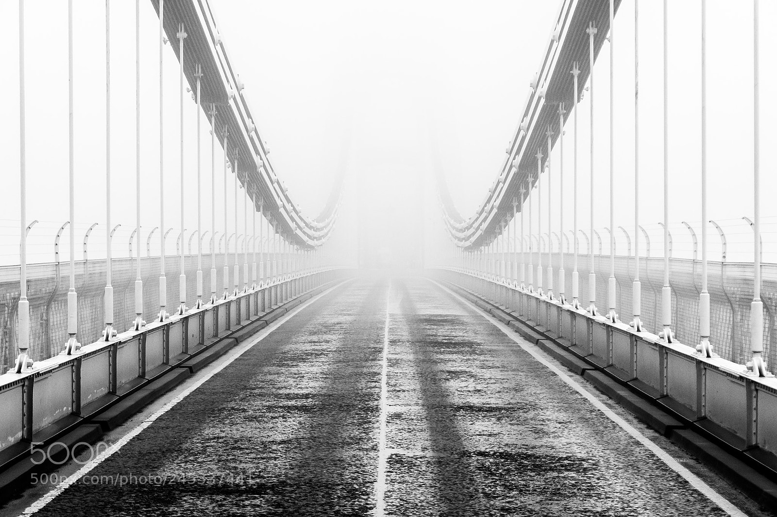 Nikon D300S sample photo. Mist photography