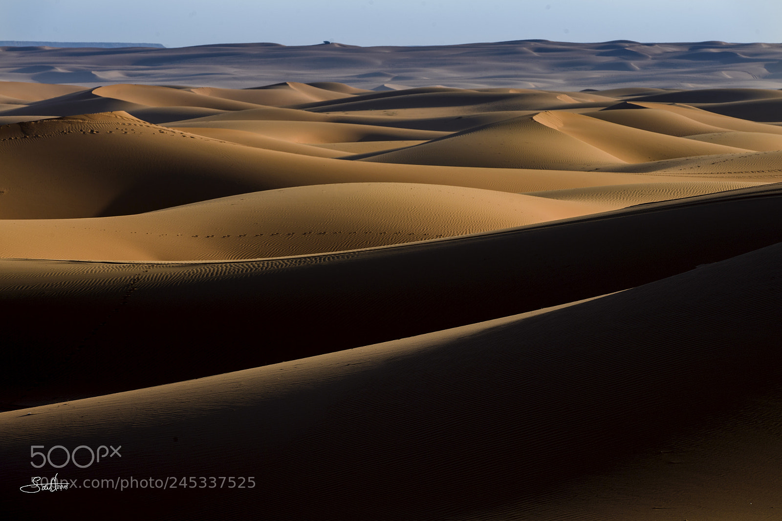 Nikon D5 sample photo. The warm desert photography