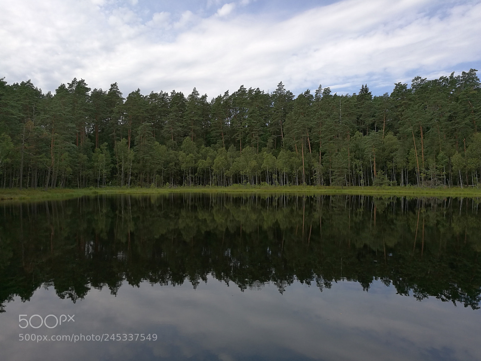 HUAWEI Honor 8 sample photo. Lake in the forest photography
