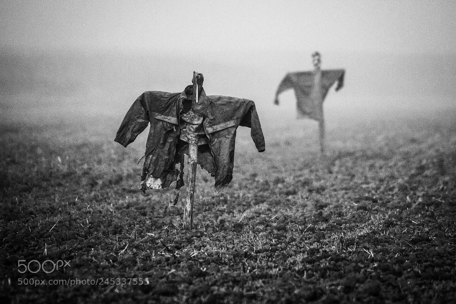 Nikon D300S sample photo. Scarecrow photography