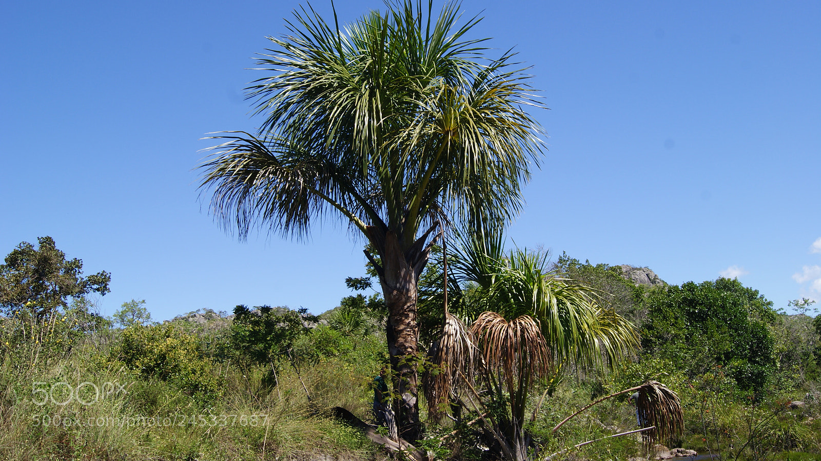 Sony Alpha DSLR-A230 sample photo. Geology settings of espinha photography