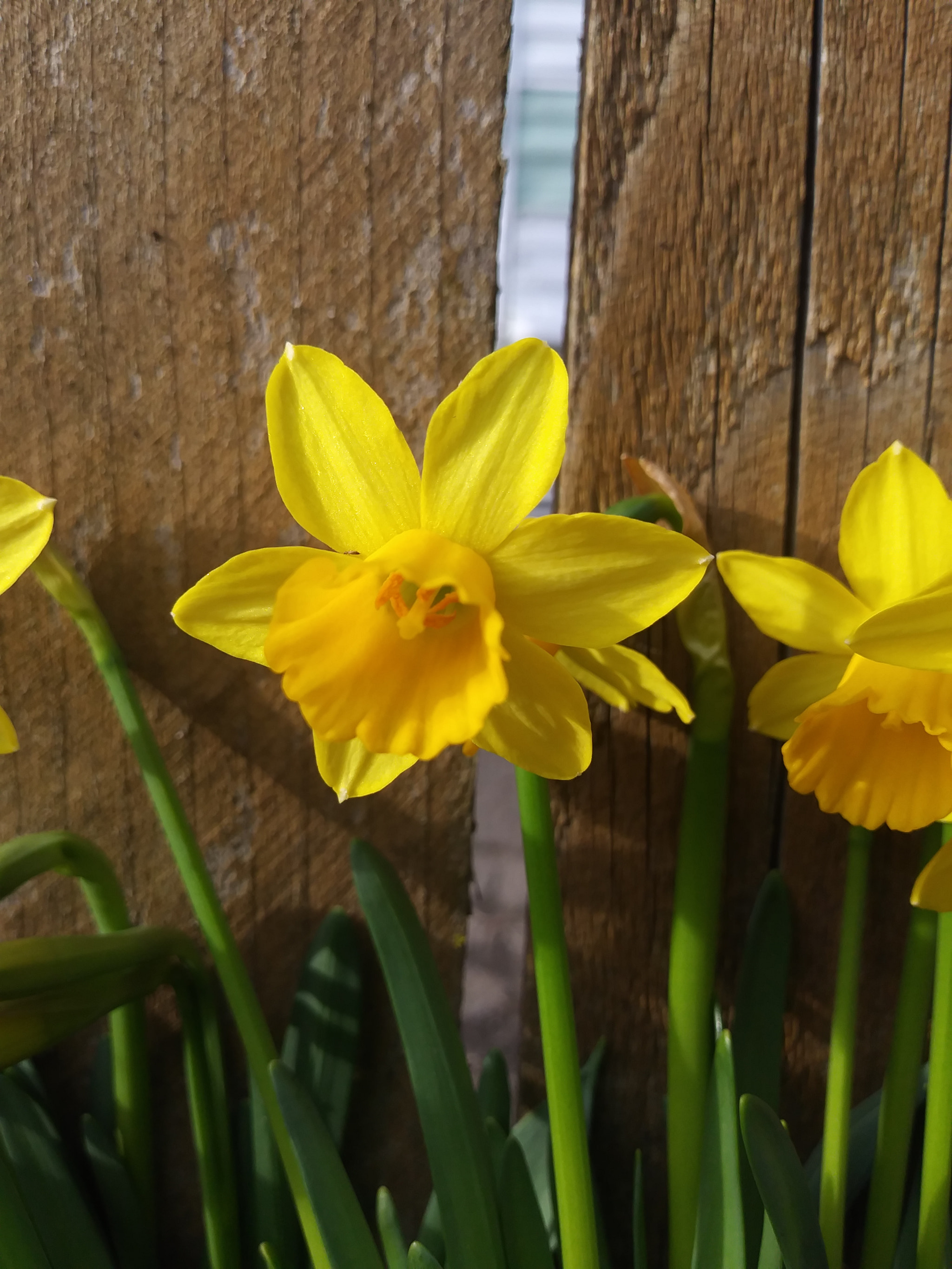 LG K20 PLUS sample photo