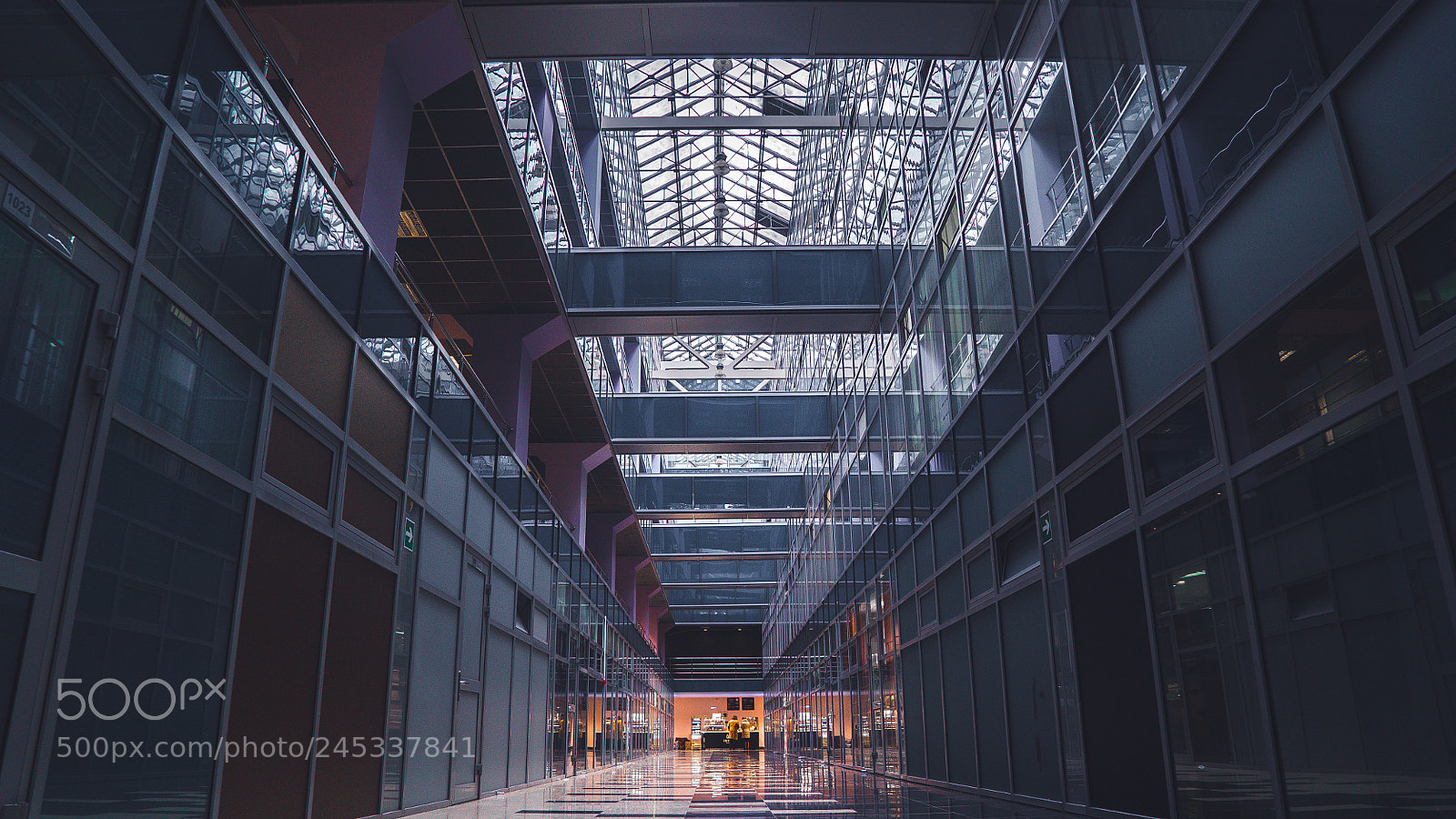 Sony a7S sample photo. Dsc photography